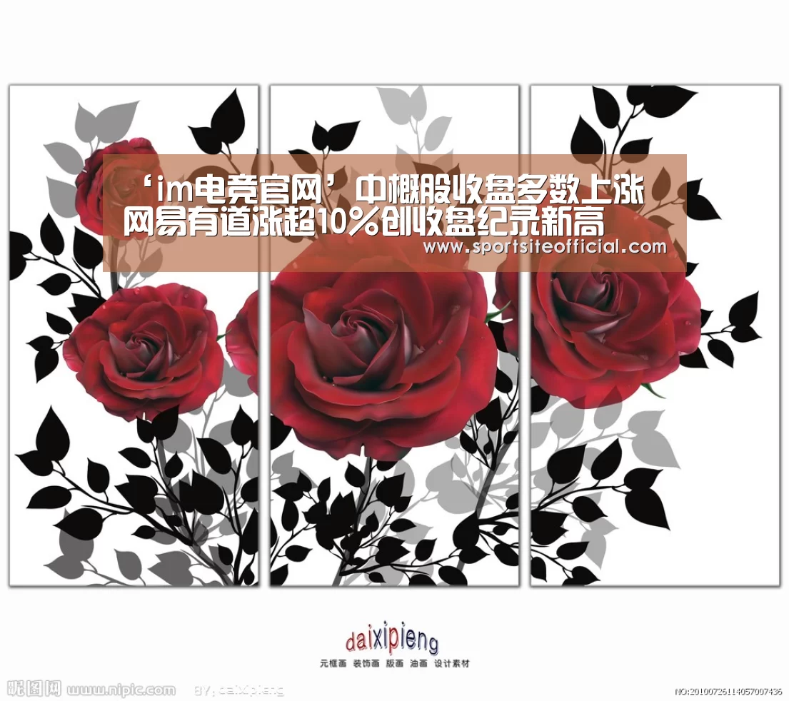 im电竞下载