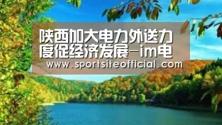 im电竞官网