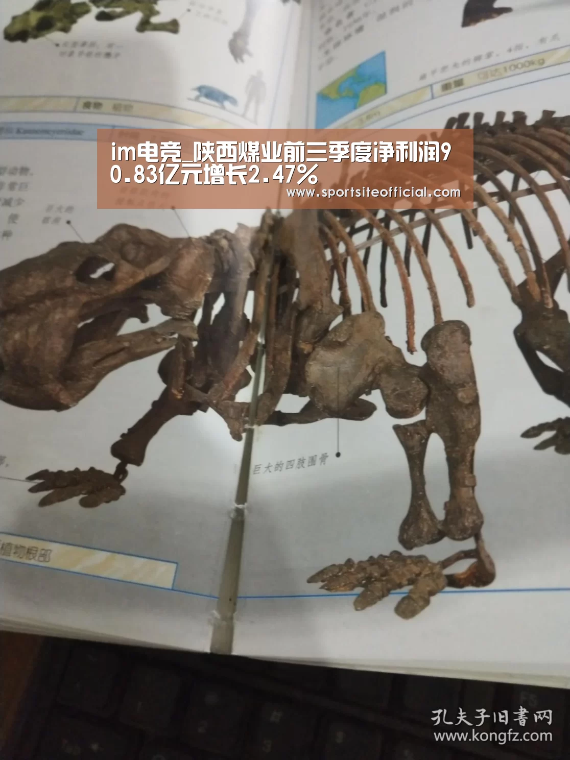 im电竞_陕西煤业前三季度净利润90.83亿元增长2.47%(图1) im电竞下载